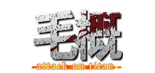 毛概 (attack on titan)