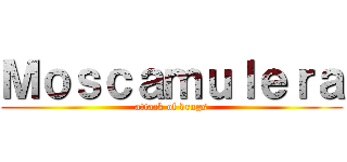 Ｍｏｓｃａｍｕｌｅｒａ (attack of drugs)