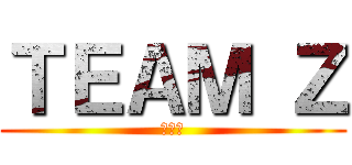 ＴＥＡＭ Ｚ (番外編)