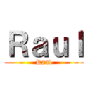 Ｒａｕｌ (Raul)