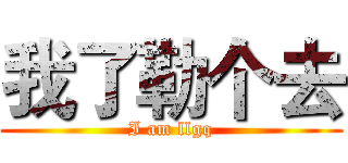 我了勒个去 (I am llgq)