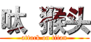 呔  猴头 (attack on titan)
