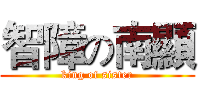 智障の南顯 (king of sister)