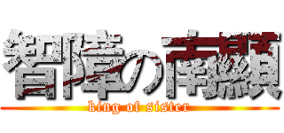 智障の南顯 (king of sister)