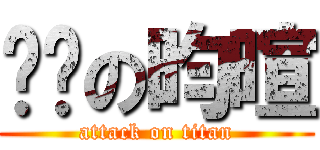 傻傻の昀暄 (attack on titan)