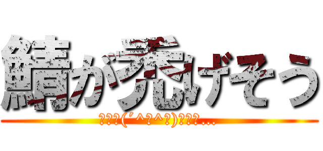鯖が禿げそう (ﾌﾌﾌ(´^∀^｀)ﾌﾌﾌ…)