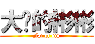 大摳的彬彬 (Fat of bin)