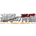 進撃の青猫 (attack on titan)