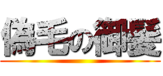 偽毛の御髪 ()