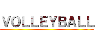 ＶＯＬＬＥＹＢＡＬＬ ()