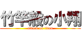 竹竿般の小翔 (attack on titan)