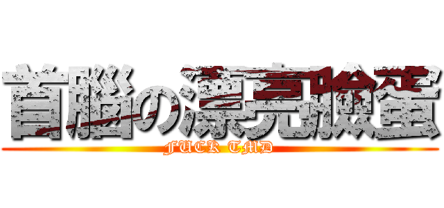 首腦の漂亮臉蛋 (FUCK TMD)
