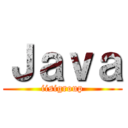Ｊａｖａ (iisigroup)