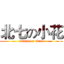 北七の小花 (attack on titan)