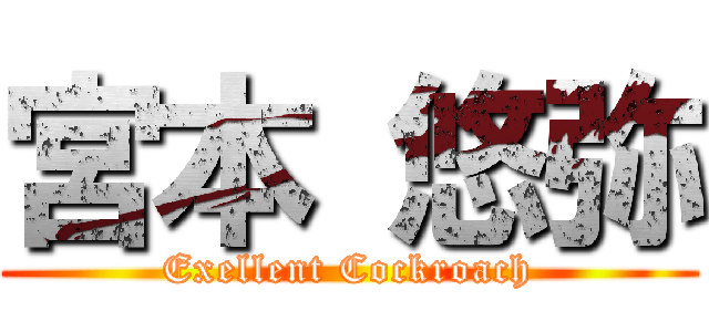 宮本 悠弥 (Exellent Cockroach)