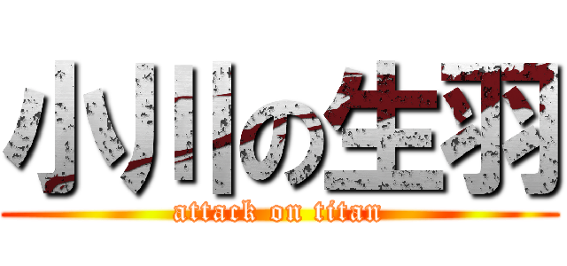 小川の生羽 (attack on titan)