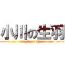 小川の生羽 (attack on titan)