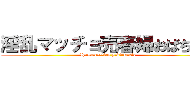淫乱マッチョ売春婦おばちゃん ( Homo erectus pekinensis)