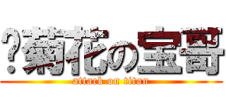 舔菊花の宝哥 (attack on titan)