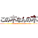 この木なんの木 (tree of unknown)