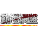 動漫網盤 ()