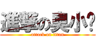 進撃の臭小妞 (attack on titan)