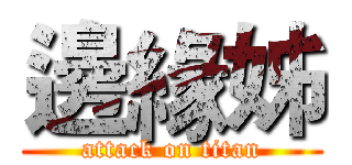 邊緣姊 (attack on titan)