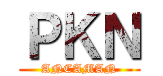 ＰＫＮ (ANCAMAN)