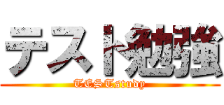 テスト勉強 (TESTstudy)