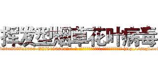 挥发型烟草花叶病毒 (挥发型烟草花叶病毒【电-186x2687x6963-Q278180069元-吉-药-业】我们做的是长期生意,靠的是老客户长期支持 http://sngk.net/T1VjrO
)
