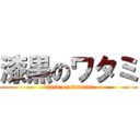 漆黒のワタミ (black on watami)