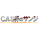 ＣＡＳ界のサンジ (attack on titan)