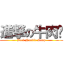 進撃の牛肉麵 (Beef Noodle Soup)