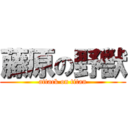 藤原の野獣 (attack on titan)