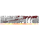 動漫蘿莉咖啡廳 (attack on titan)