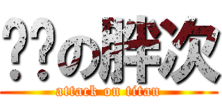 寻丽の胖次 (attack on titan)