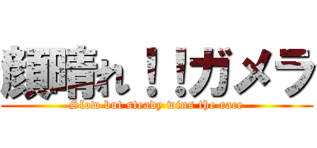 顔晴れ！！ガメラ (Slow but steady wins the race)