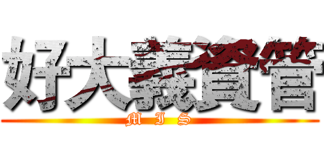 好大義資管 (M  I  S)