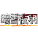 暗雪夜羽 (youtube實況主)