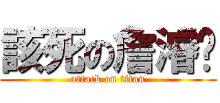 該死の詹濬璘 (attack on titan)