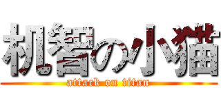 机智の小猫 (attack on titan)