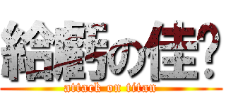 給虧の佳芊 (attack on titan)