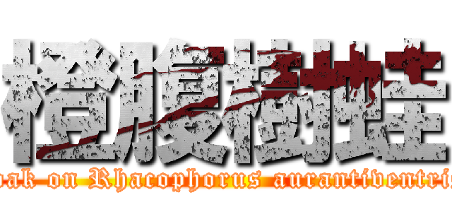 橙腹樹蛙 (croak on Rhacophorus aurantiventris )