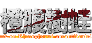 橙腹樹蛙 (croak on Rhacophorus aurantiventris )