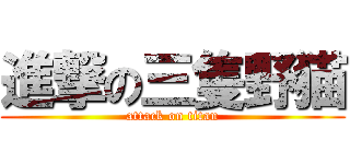 進撃の三隻野猫 (attack on titan)