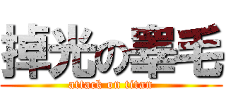 掉光の睾毛 (attack on titan)