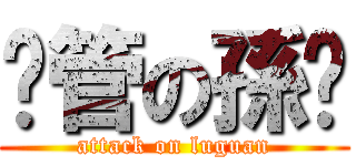 撸管の孫苏 (attack on luguan)