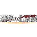 進撃の北京熊 (attack on Bei Jing Bear)