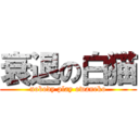 衰退の白猫 (nobody play owaneko)