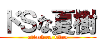 ドＳな夏樹 (attack on titan)
